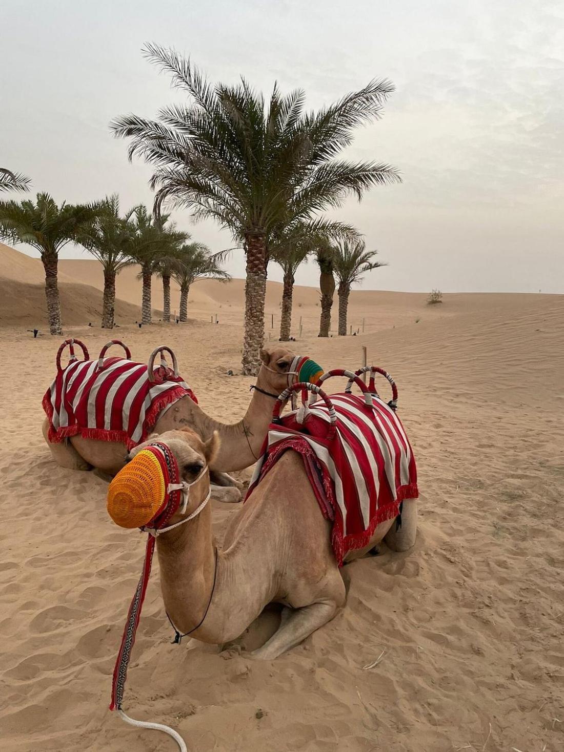 Al Khayma Camp "Elite Glamping & Dining In Experience" Hotel Hunaywah Exterior photo